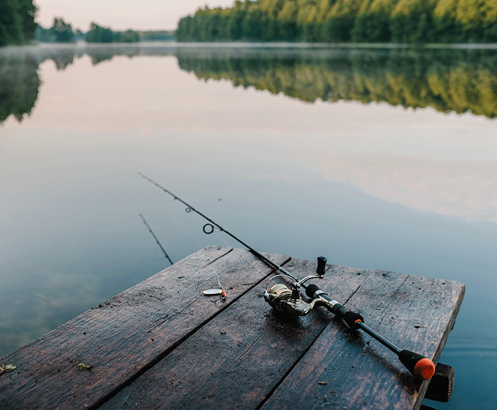 Fishing rod by lake