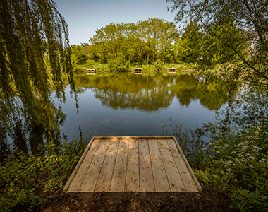 A view across Alder Pond surrounded by woodland from a wooden platform