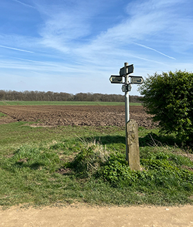 Explore the Lincolnshire countryside with these walking routes, starting in Nocton.