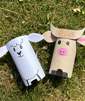This week, we want you to transform an ordinary toilet roll tube into an extraordinary farm animal!