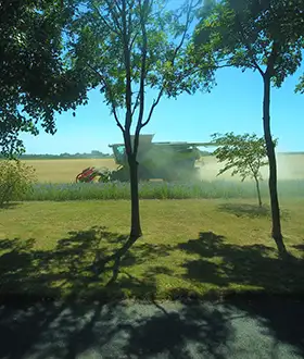 Ever wondered what goes on behind the scenes on our farms?