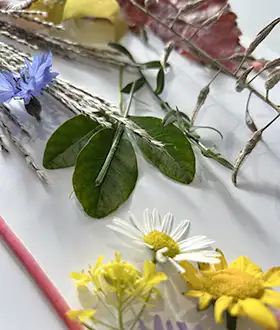 Embrace the beauty of the British countryside and spark your child's creativity with a fun and educational nature collage activity.