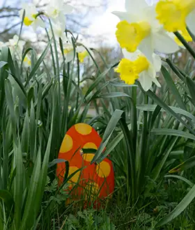 The Easter Bunny has hidden eight eggs along the Bridleway in Nocton. Collect the answers along the way to crack our Easter code.