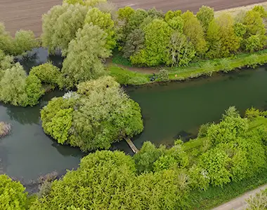 Dyson fishing Policy